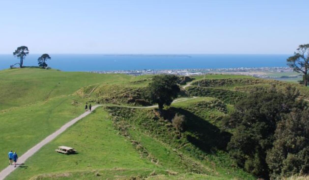 Exploring your backyard