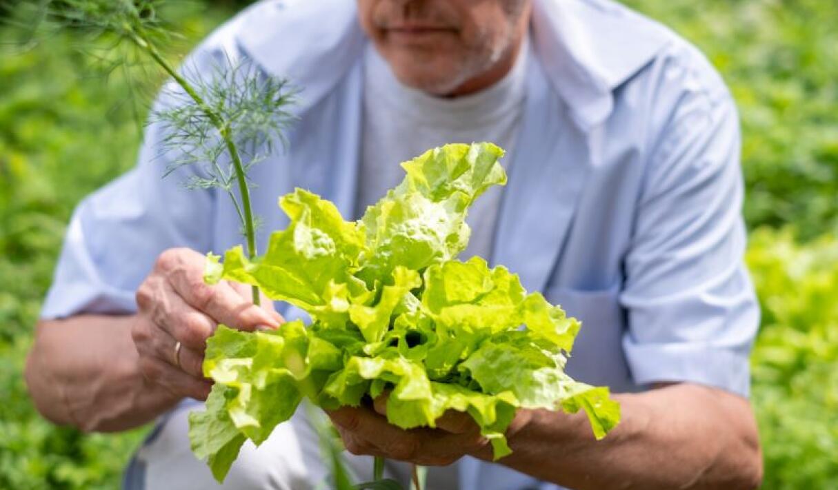 Sustainable Living in Retirement: Tips for Reducing Your Carbon Footprint