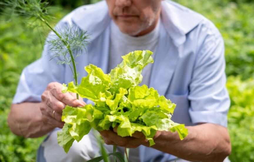 Sustainable Living in Retirement: Tips for Reducing Your Carbon Footprint