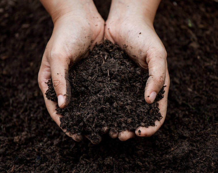 nutritious-soil-for-planting